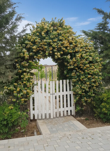 Bağ evlərinin satışı: Bakı, Nardaran qəs., 82 kv. m, 3 otaqlı, İnternet — 1