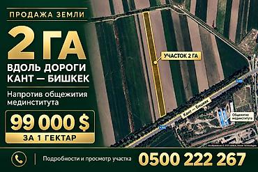 real estate: 200 соток — 2