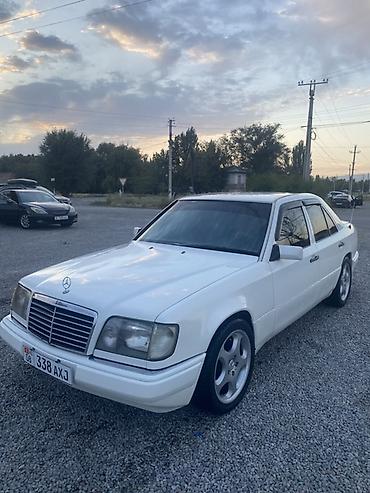 add blue: Mercedes-Benz W124: 1995 г., 2.2 л, Автомат, Бензин, Седан — 4