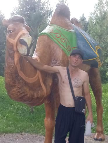Декоративные фигуры