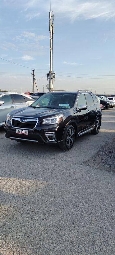 самая дорогая машина в кыргызстане: Subaru Forester: 2018 г., 2.5 л, Вариатор, Бензин, Кроссовер