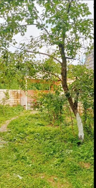 Günlük kirayə evlər: 90 kv. m, 3 otaqlı, İnternet, Qaz, Kanalizasiya — 22