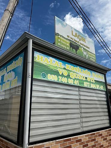 guneşli: Yeni Günəşlidə ət yeri uzun müddətli icariyə verilir — 9