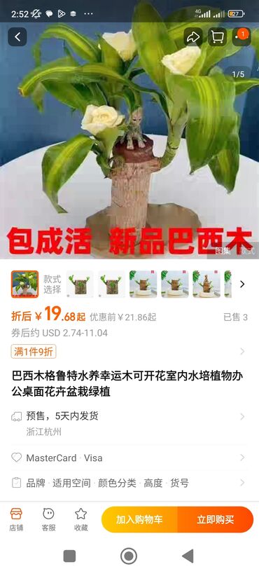 купить горшки для комнатных растений: Китай гулдору заказ бериниз вацап номерине жазыныз +