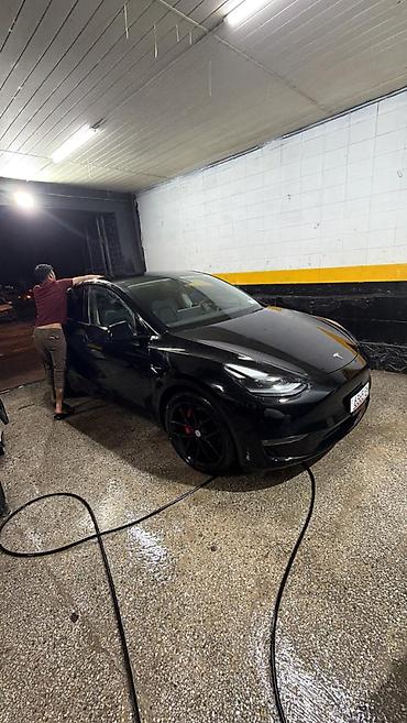 byd e6: Tesla Model Y: 2022 г., 3.9 л, Автомат, Электромобиль, Кроссовер — 4