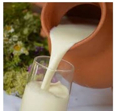 продаю козье молоко: Домашнее молоко и айран для столовой и кафе. свое хозяйство в Совхоз