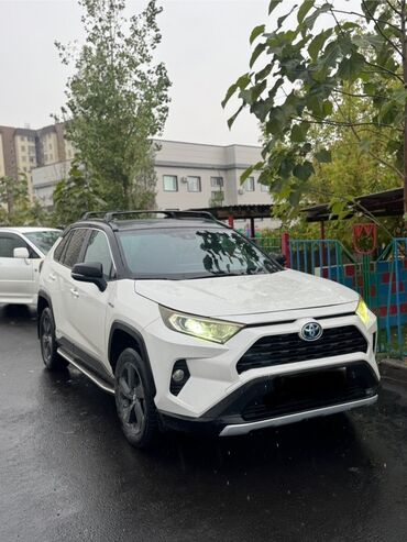 авто рага: Toyota RAV4: 2019 г.