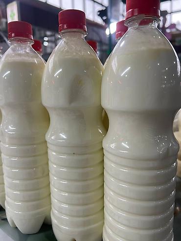 Молочные продукты и яйца: Домашнее молоко, сметана, сары май, кымыз (Бишкек) Описание — 2