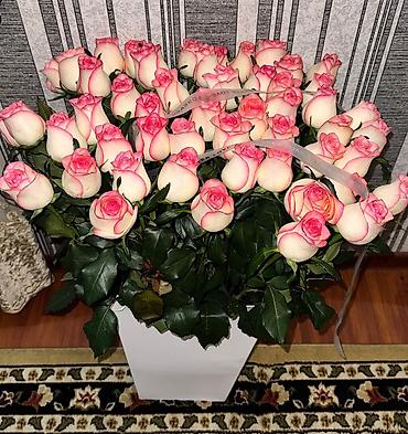 Город: Бишкек Название: 51 Роза, 50 см Дата07.10.26, утренние