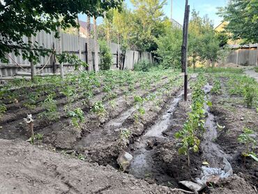 Продажа домов: Дом, 95 м², 4 комнаты, Собственник, Старый ремонт at lalafo.kg — 23 Продажа домов: Дом, 95 м², 4 комнаты, Собственник, Старый ремонт — 23