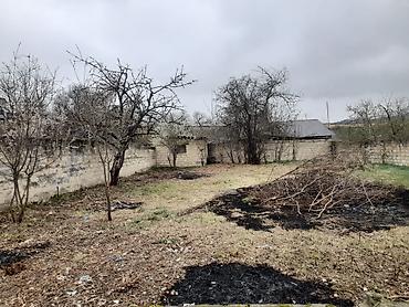 tecili ev satilir baki: 4 sot, Tikinti, Mülkiyyətçi, Kupça (Çıxarış) — 1