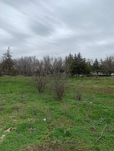 Продажа участков: 90 соток, Для бизнеса, Красная книга — 15