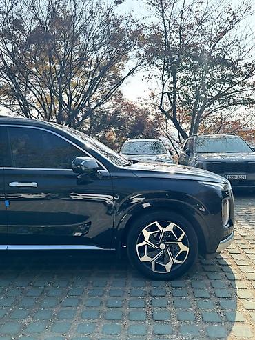 Hyundai: Hyundai Palisade: 2020 г., Бензин, Кроссовер — 7