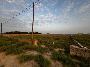 torpaq krediti: 10 sot, Tikinti, Mülkiyyətçi, Kupça (Çıxarış)