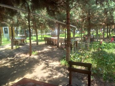 Tikiş: Ofisiant tələb olunur, Kafe, Gündəlik ödəniş, İstənilən yaş, Təcrübəsiz