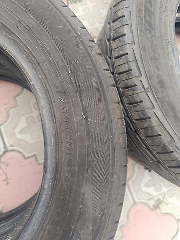 175 60 14: Летние шины Dunlop, Характеристики: - Размер: 175/65 R14 - Индекс — 3