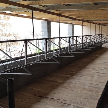 Сельхоз предприятия: Продаю Кошара, 200 соток, Действующий — 10