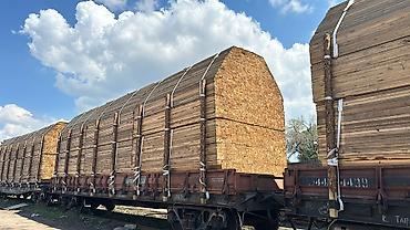 Брус: Брус, Сосна — 4