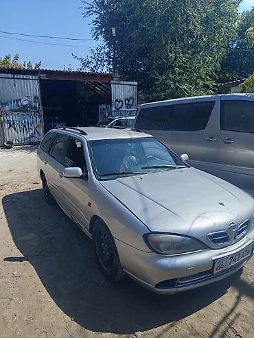 nisa: Nissan Primera: 2000 г., Универсал — 1