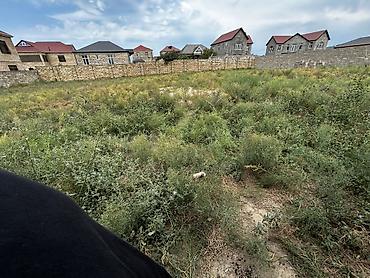 kiraye evlerin kreditle satisi: 6 sot, Tikinti, Mülkiyyətçi, Kupça (Çıxarış) — 4