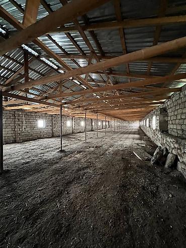 Kommersiya daşınmaz əmlakının satışı: 🔹 Satılır: Ferma – Xudat, Ləcət kəndi 🔹 ✅ Unikal fürsət! Xudat-Yalama — 7