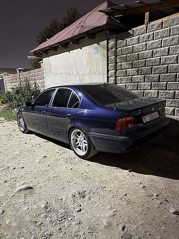 bmw 2008: BMW 525: 2003 г., 2.5 л, Механика, Бензин, Седан — 1