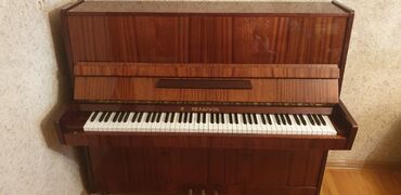 Pianolar: Piano, Belarus, Akustik, İşlənmiş, Ünvandan götürmə — 7