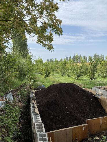 другая посуда: Биогумус сатылат. Арзан баада. 20 сом с доставкой. Артык