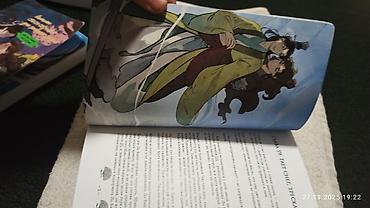 Другие книги и журналы: Все 4 тома системы спаси себя сам, новелла без цензуры, есть — 19