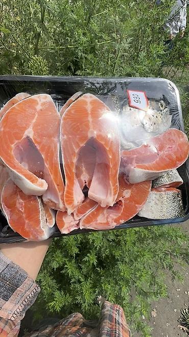 200: Крупный и мелкий опт Токмок отправка в регионы Форель радужная — 1