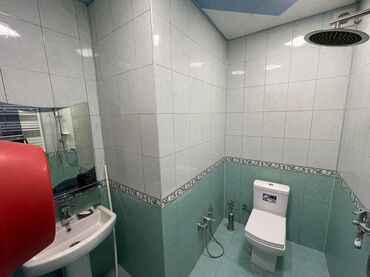 Həyət evləri və villaların satışı: 7 otaqlı, 340 kv. m, Kredit yoxdur, Yeni təmirli — 15