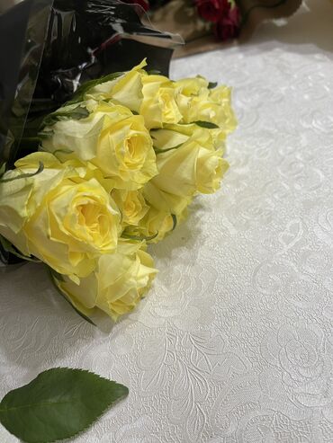 Розы: Роза лимонная 60 см по 100 сом