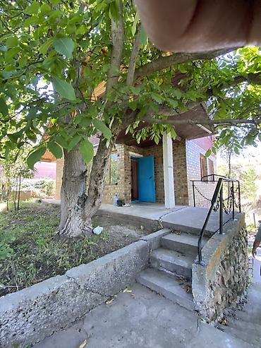 сосновка участок: Продаётся загородный дачный дом с садовым участком. Основные — 4