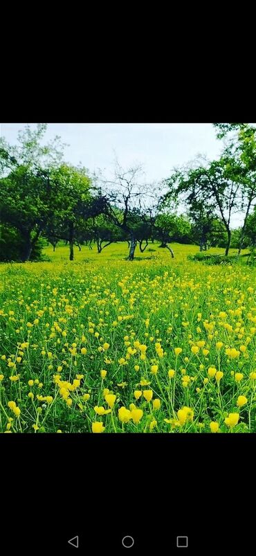 Günlük kirayə evlər: 150 kv. m, 4 otaqlı, Kombi, İşıq, Su — 7