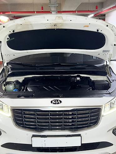 Kia: Kia Carnival: 2019 г., 2.2 л, Автомат, Дизель, Минивэн — 19