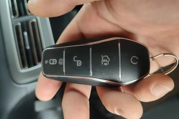 BYD: BYD : 1.5 l | 2024 il 55 km Sedan — 29