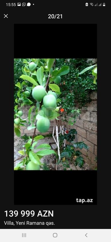 Həyət evləri və villaların satışı: Yeni Ramana 6 otaqlı, 140 kv. m, Yeni təmirli -da lalafo.az — 19 Həyət evləri və villaların satışı: Yeni Ramana 6 otaqlı, 140 kv. m, Yeni təmirli — 19