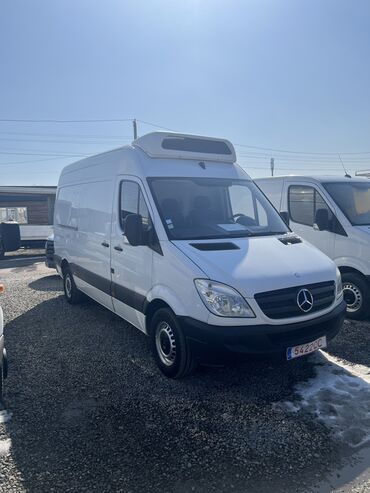 sprinter рефрижератор: Легкий грузовик, Mercedes-Benz, Стандарт, 3 т