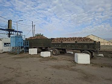 притцеп на камаз: Тягач, Камаз, Самосвал — 3