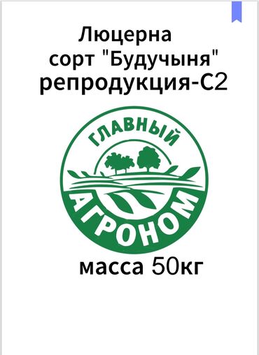 малина цена за кг 2022 бишкек: Семена люцерны сорта “Будучыня” Экспортный класс. Репродукция С-2