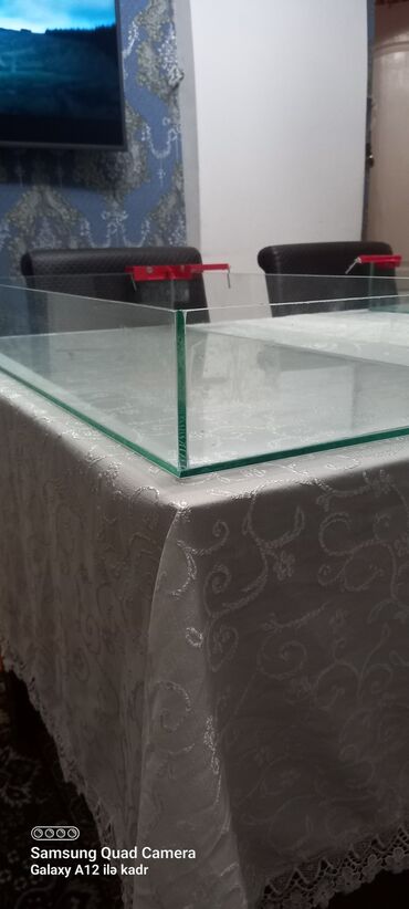 Akvariumlar: Salam isdənilğn ölçüdə akvarium və terarium yığıram isdəyən buyursun — 1