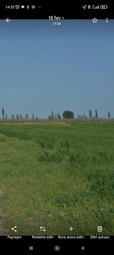 torpaq alqi satqi: 42 sot, Kənd təsərrüfatı, Makler, Kupça (Çıxarış) — 1