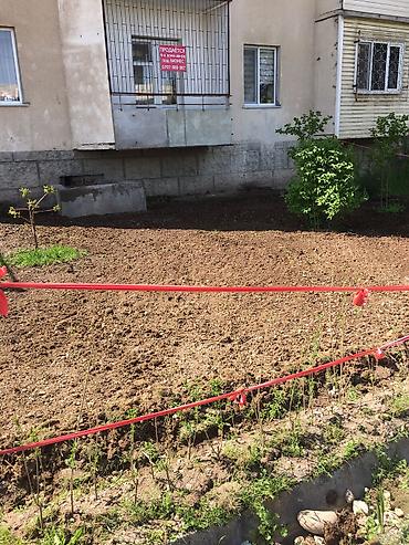 Продажа квартир: 4 комнаты, 88 м², 106 серия улучшенная, 1 этаж, Дизайнерский ремонт — 10