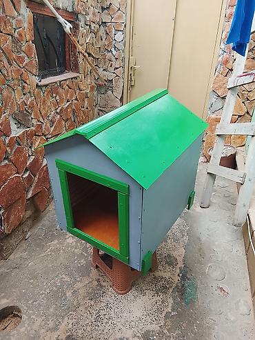 pudel mini: Orta boy itlər üçün uzn 70 eni isə 55 hündürlük 70 sm — 3