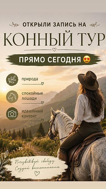 Лошади, кони: Продаю | Конь (самец) | Полукровка | Рабочий | Осеменитель — 26