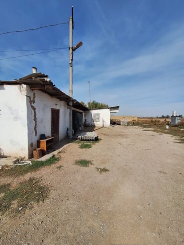 Продажа участков: 44 соток, Красная книга — 17