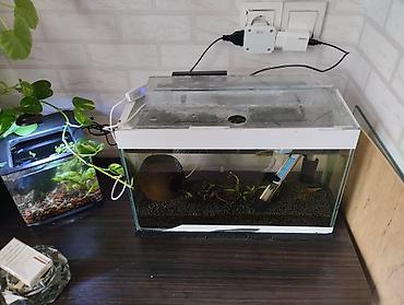 akvarium filter: Akvarium 10lt grunt propant 3 kq filter selale ve ya pipo filtr — 1