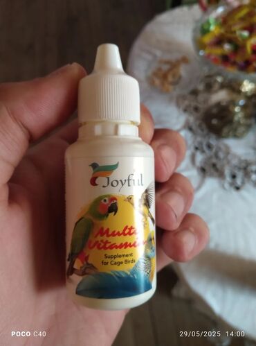 Tutuquşları: Bala korellalar yalniz zeng vitaminli — 8