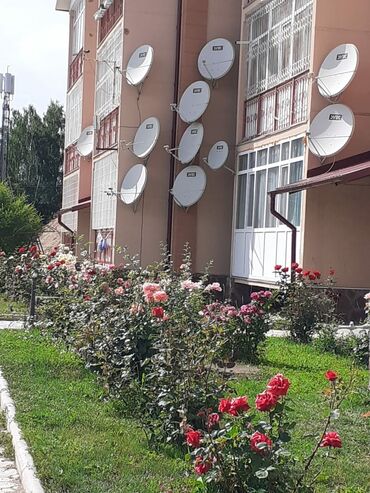 дом на иссык куль: 2 бөлмө, Унаа токтотуучу жай, Тиричилик техникасы