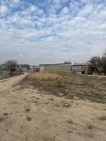 Продажа участков: 4 соток, Для строительства, Красная книга, Договор купли-продажи — 5